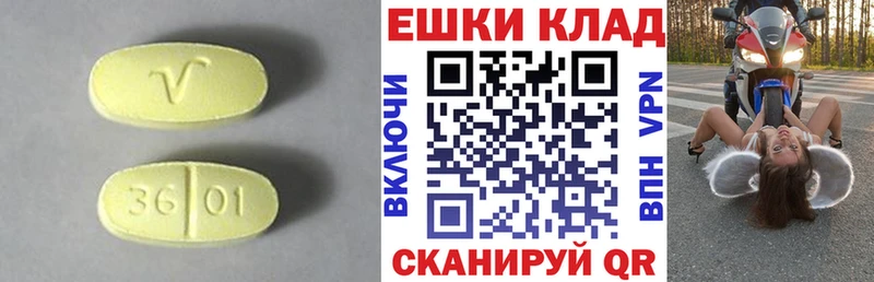 ЭКСТАЗИ Philipp Plein  Полярный 
