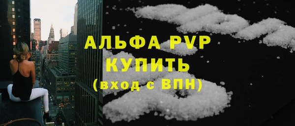 индика Балахна