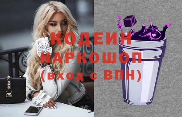 индика Балахна