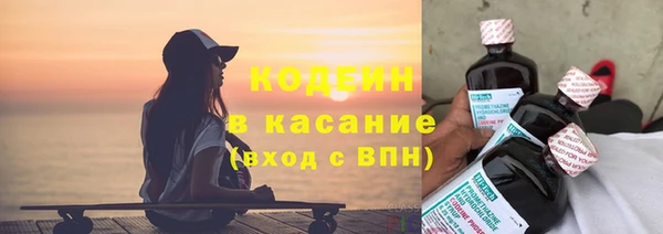 индика Балахна