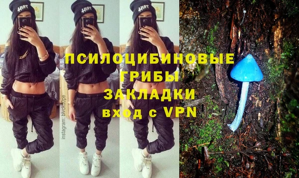 индика Балахна